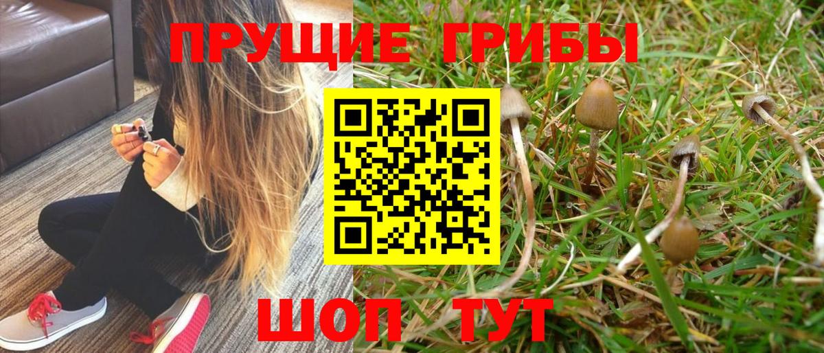 Галлюциногенные грибы GOLDEN TEACHER  Галлюциногенные грибы Psilocybe  Вход с VPN  Строитель 